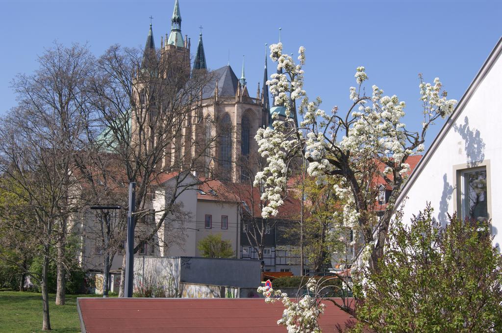 Pension Am Dom Erfurt Exteriör bild