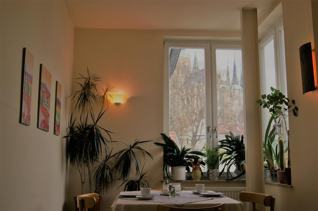 Pension Am Dom Erfurt Exteriör bild